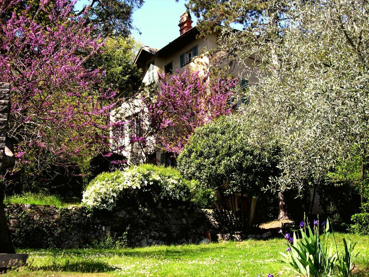 Domaine Du Parais B&B 索斯佩勒 外观 照片