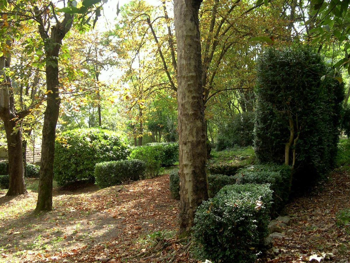 Domaine Du Parais B&B 索斯佩勒 外观 照片