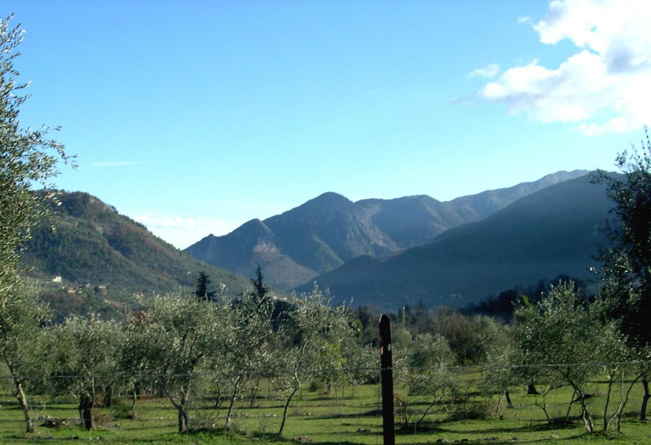 Domaine Du Parais B&B 索斯佩勒 外观 照片