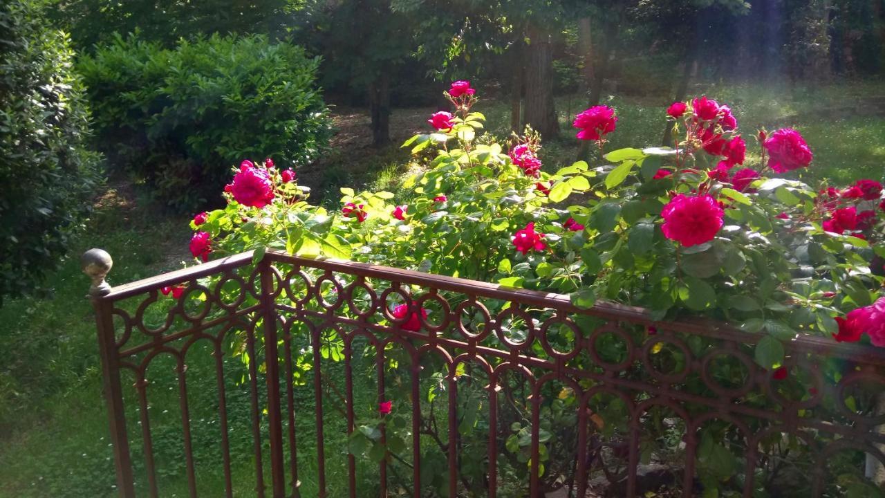 Domaine Du Parais B&B 索斯佩勒 外观 照片