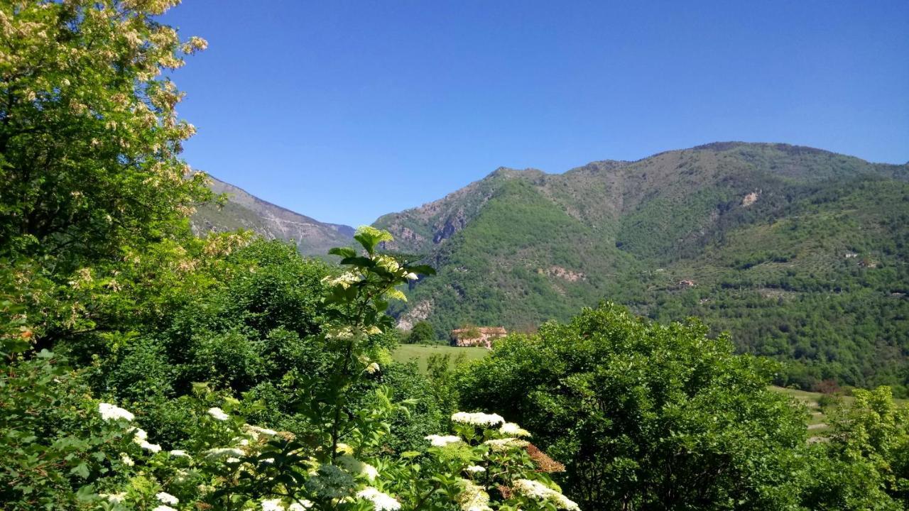 Domaine Du Parais B&B 索斯佩勒 外观 照片