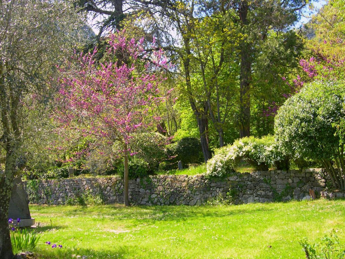 Domaine Du Parais B&B 索斯佩勒 外观 照片