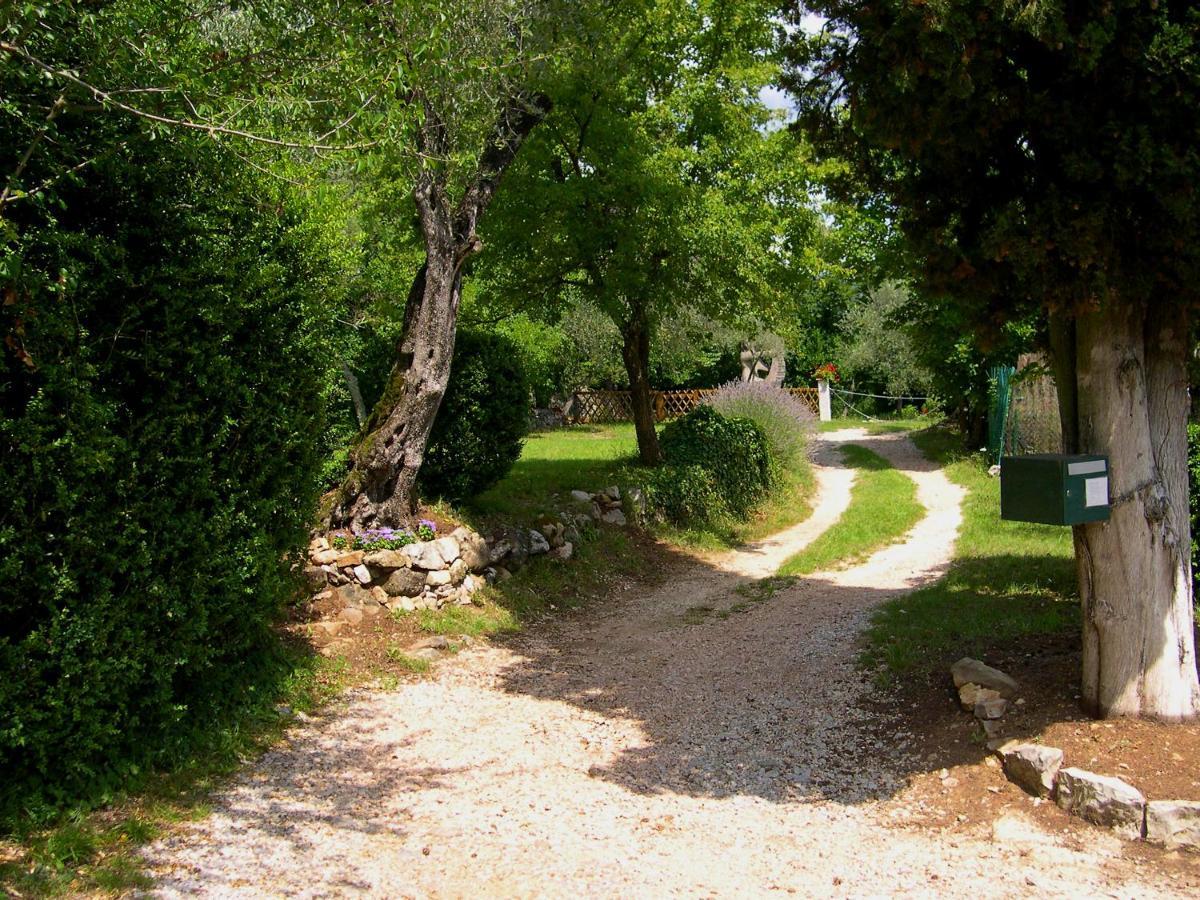 Domaine Du Parais B&B 索斯佩勒 外观 照片